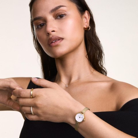 ZEGAREK DAMSKI DANIEL WELLINGTON Petite Mini Gold Stainless Steel 19mm DW00100745 + BOX (zw523b)