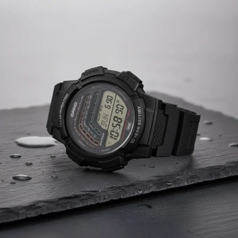 ZEGAREK MĘSKI CASIO WS-1800-1AVDF + BOX